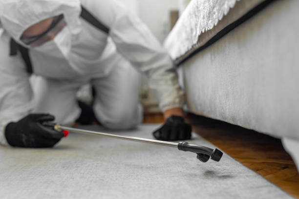 Professional Pest Control technician working in Archer, FL